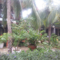 фото из отзыва ID 1695341