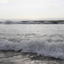 фото из отзыва ID 1695341