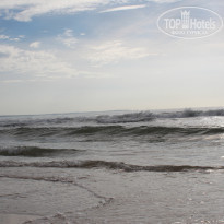 фото из отзыва ID 1695341