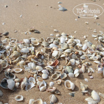 фото из отзыва ID 1695341