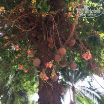 фото из отзыва ID 1695518