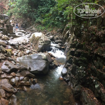 фото из отзыва ID 1695518