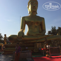 фото из отзыва ID 1695518