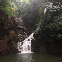 фото из отзыва ID 1695518