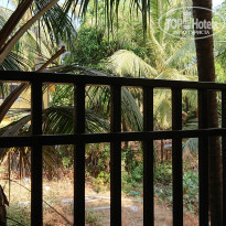 фото из отзыва ID 1695546