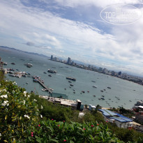 фото из отзыва ID 1695564