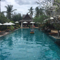 фото из отзыва ID 1695582