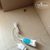 фото из отзыва ID 1693595