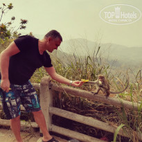 фото из отзыва ID 1695690