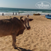 фото из отзыва ID 1695812