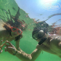 фото из отзыва ID 1695821