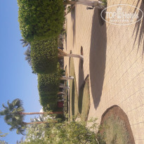 фото из отзыва ID 1693886