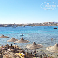 фото из отзыва ID 1693886