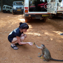 фото из отзыва ID 1692020