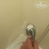 фото из отзыва ID 1695882