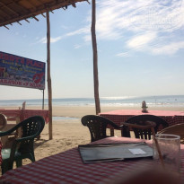 фото из отзыва ID 1695904