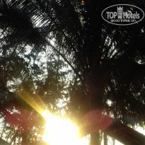 фото из отзыва ID 1696001