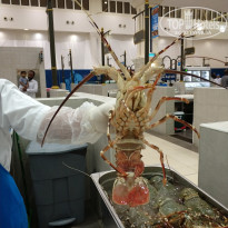 фото из отзыва ID 1695816