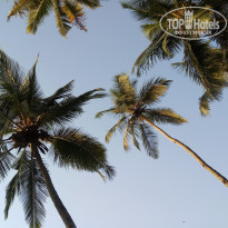 фото из отзыва ID 1696054