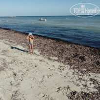 фото из отзыва ID 1696128