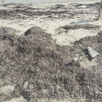 фото из отзыва ID 1696128