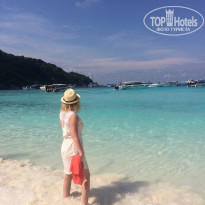 фото из отзыва ID 1696179