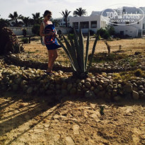 фото из отзыва ID 1696207