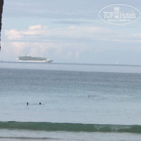 фото из отзыва ID 1696208