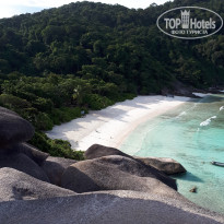 фото из отзыва ID 1696132