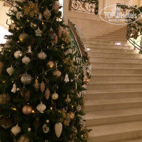 фото из отзыва ID 1696268