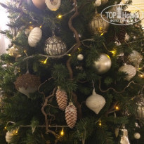 фото из отзыва ID 1696268