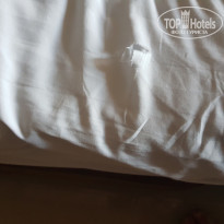 фото из отзыва ID 1696366