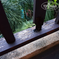 фото из отзыва ID 1696366