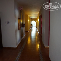 фото из отзыва ID 1696386