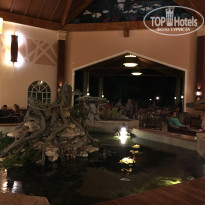 фото из отзыва ID 1696463