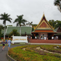 фото из отзыва ID 1696392