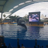 фото из отзыва ID 1696392