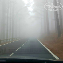 фото из отзыва ID 1696392