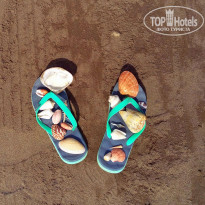 фото из отзыва ID 1696472