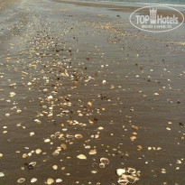 фото из отзыва ID 1696472