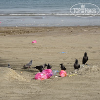 фото из отзыва ID 1696472