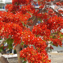 фото из отзыва ID 1696392