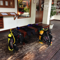 фото из отзыва ID 1696574