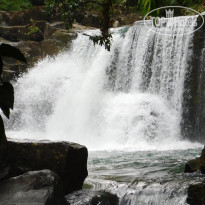 фото из отзыва ID 1696669