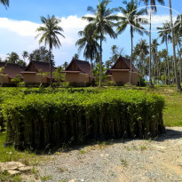 фото из отзыва ID 1696669