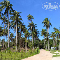 фото из отзыва ID 1696669