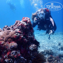 фото из отзыва ID 1696574