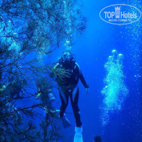 фото из отзыва ID 1696574