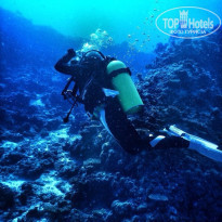 фото из отзыва ID 1696574