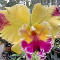 фото из отзыва ID 1696686